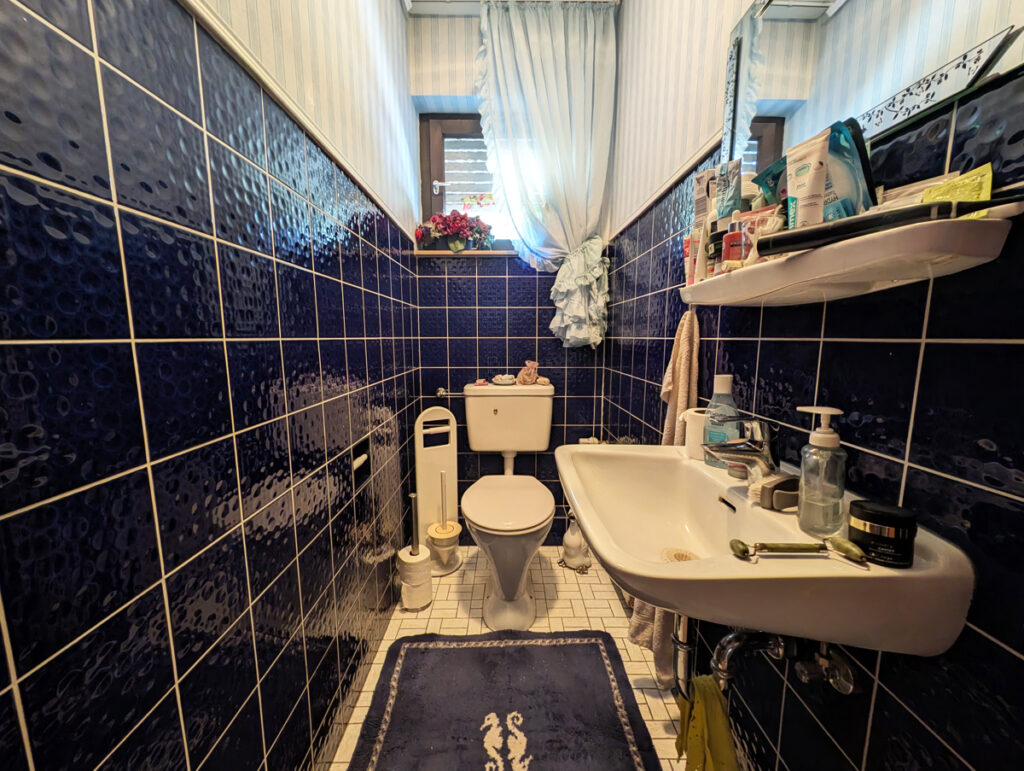 Gäste-WC EG